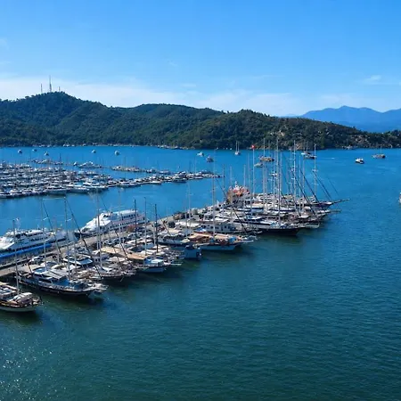 Bluetown * Φετιγιέ